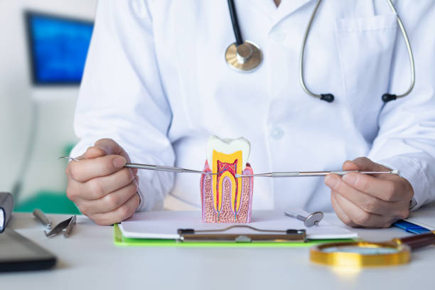 Best Tooth Infection Emergency Dentist  in Iron Mountain, MI